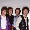 The Tremeloes