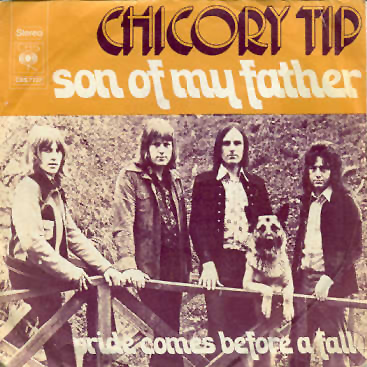 Chicory Tip
